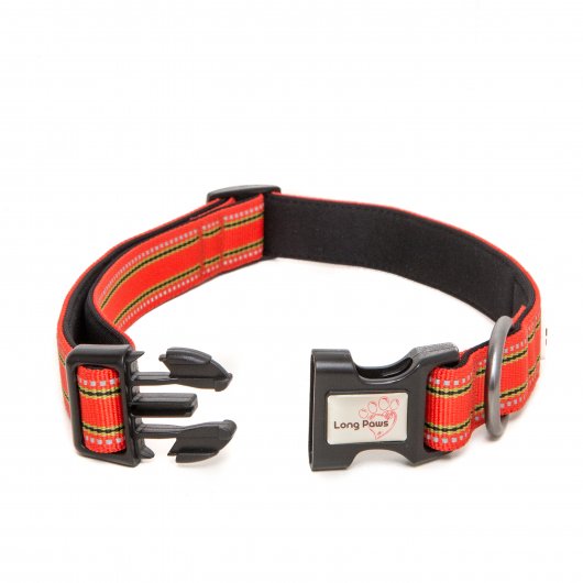 Long Paws Collection Collar Orange with 3M Scotchlite reflective strips 2 sizes