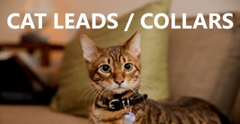 Cat Leads / collars