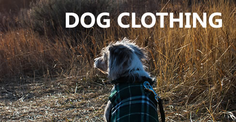 Dog Clothing
