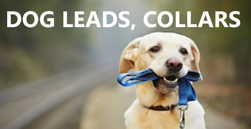 Dog Leads, collars