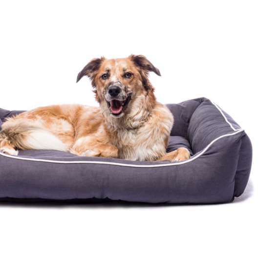Dog Gone Smart Lounger Bed Pebble Grey 48x38cm