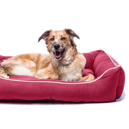 Dog Gone Smart Lounger Bed Berry 56x51cm