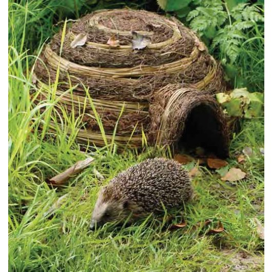 Hedgehog Igloo Home