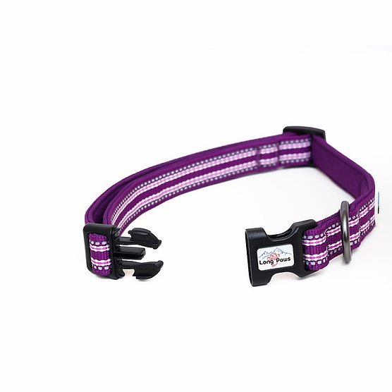 Long Paws Collection Collar Purple with 3M Scotchlite reflective strips 2 sizes